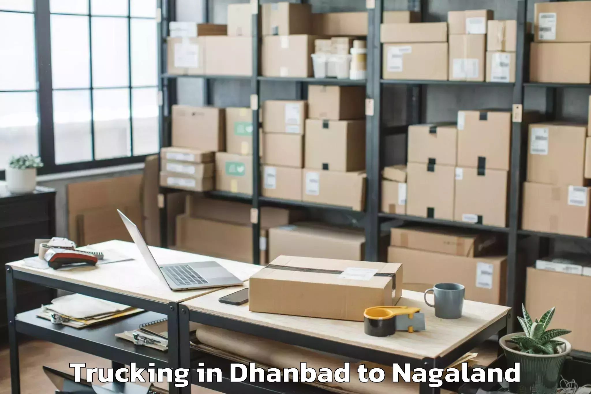 Book Dhanbad to Botsa Trucking Online